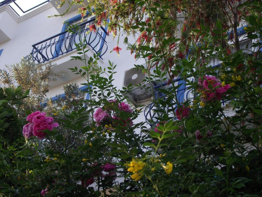 Miramar Pansiyon Kaş Exterior foto